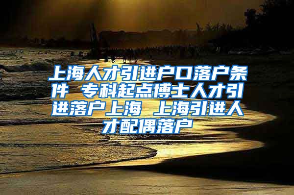 上海人才引进户口落户条件 专科起点博士人才引进落户上海 上海引进人才配偶落户