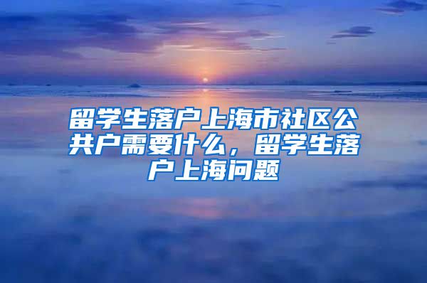 留学生落户上海市社区公共户需要什么，留学生落户上海问题