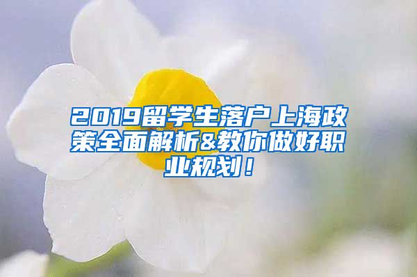 2019留学生落户上海政策全面解析&教你做好职业规划！