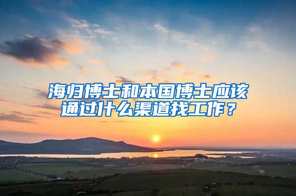 海归博士和本国博士应该通过什么渠道找工作？