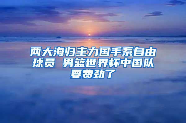 两大海归主力国手系自由球员 男篮世界杯中国队要费劲了