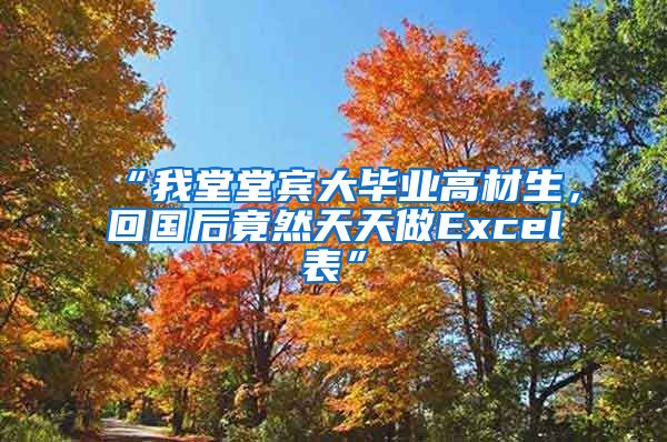 “我堂堂宾大毕业高材生，回国后竟然天天做Excel表”