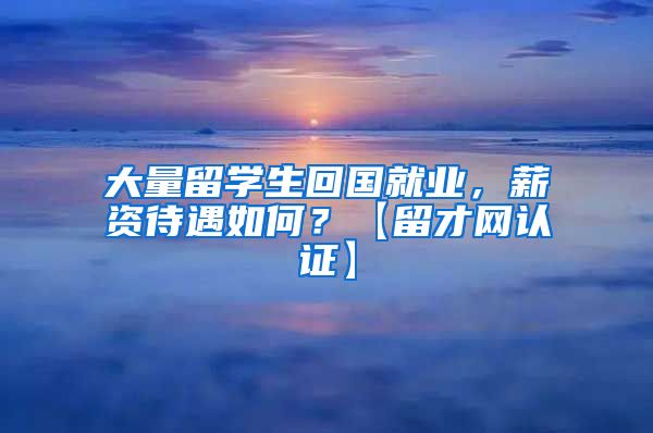 大量留学生回国就业，薪资待遇如何？【留才网认证】