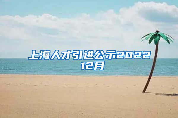 上海人才引进公示2022 12月