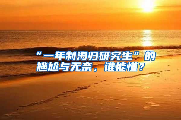 “一年制海归研究生”的尴尬与无奈，谁能懂？