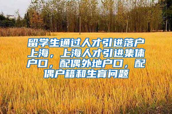 留学生通过人才引进落户上海，上海人才引进集体户口，配偶外地户口，配偶户籍和生育问题