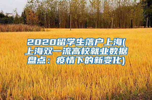 2020留学生落户上海(上海双一流高校就业数据盘点：疫情下的新变化)