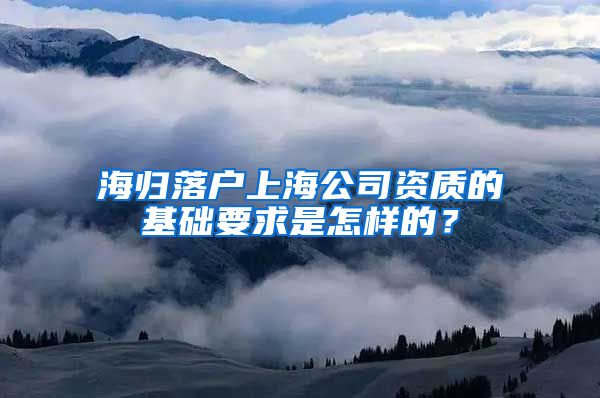 海归落户上海公司资质的基础要求是怎样的？