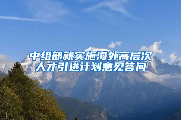 中组部就实施海外高层次人才引进计划意见答问