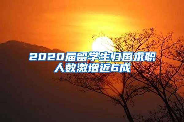 2020届留学生归国求职人数激增近6成