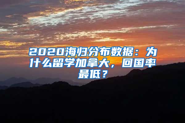 2020海归分布数据：为什么留学加拿大，回国率最低？