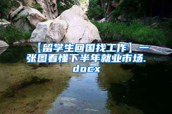 【留学生回国找工作】一张图看懂下半年就业市场.docx