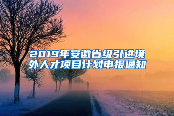 2019年安徽省级引进境外人才项目计划申报通知