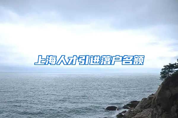 上海人才引进落户名额