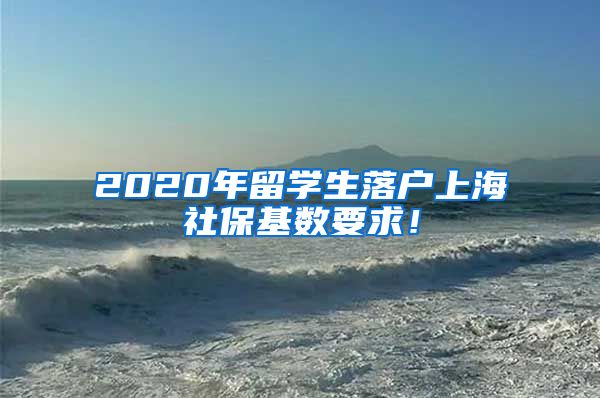 2020年留学生落户上海社保基数要求！