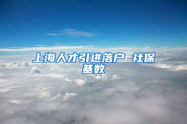 上海人才引进落户 社保基数