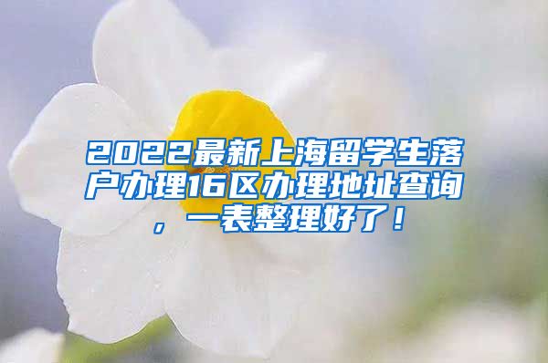 2022最新上海留学生落户办理16区办理地址查询，一表整理好了！