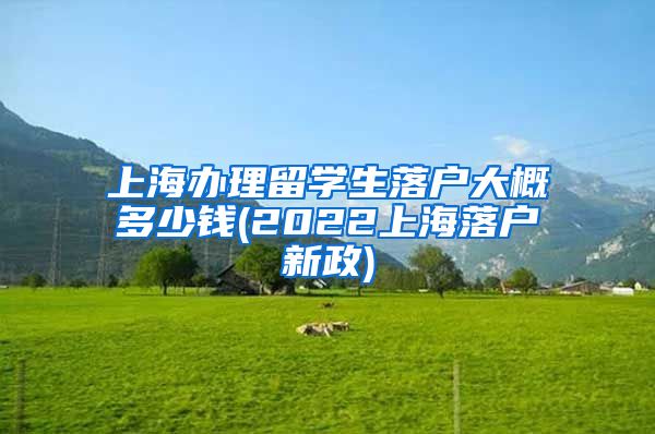 上海办理留学生落户大概多少钱(2022上海落户新政)