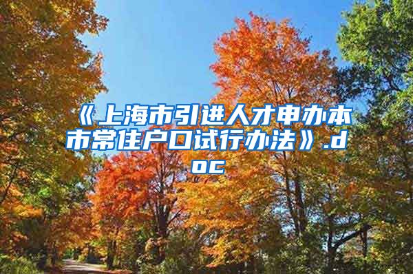 《上海市引进人才申办本市常住户口试行办法》.doc