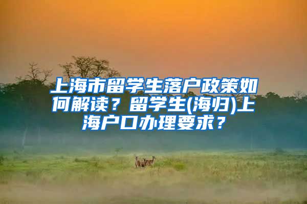 上海市留学生落户政策如何解读？留学生(海归)上海户口办理要求？