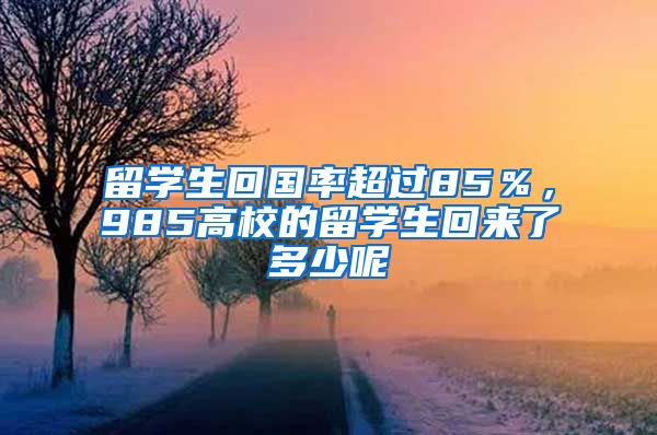 留学生回国率超过85％，985高校的留学生回来了多少呢