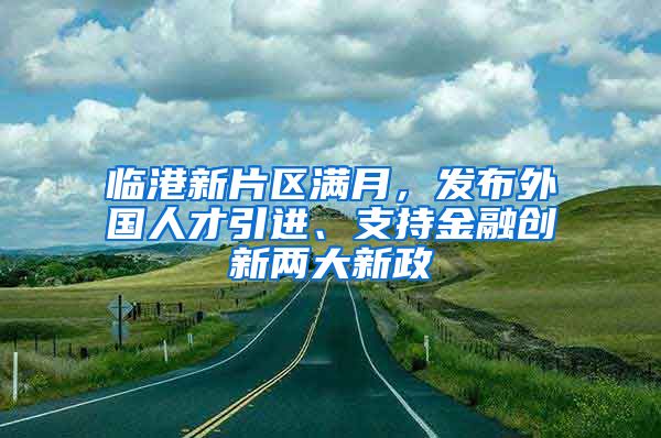 临港新片区满月，发布外国人才引进、支持金融创新两大新政