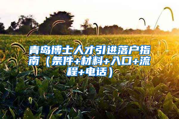 青岛博士人才引进落户指南（条件+材料+入口+流程+电话）