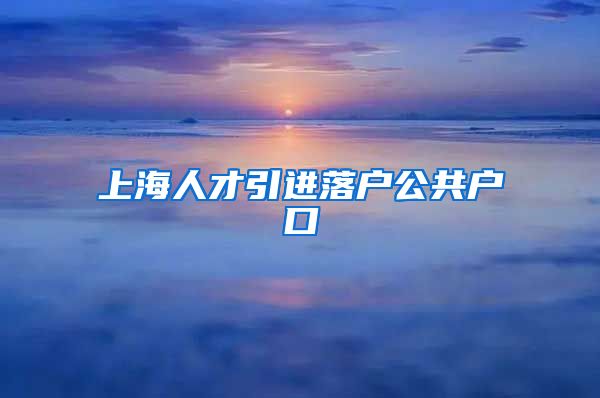 上海人才引进落户公共户口