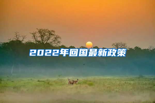 2022年回国最新政策