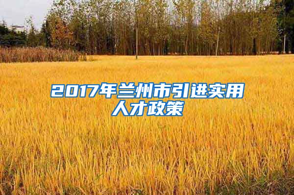 2017年兰州市引进实用人才政策