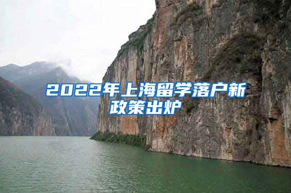 2022年上海留学落户新政策出炉