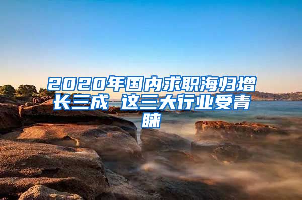 2020年国内求职海归增长三成 这三大行业受青睐