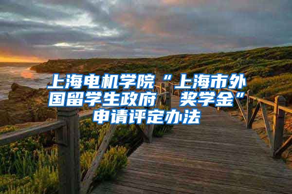 上海电机学院“上海市外国留学生政府  奖学金”申请评定办法