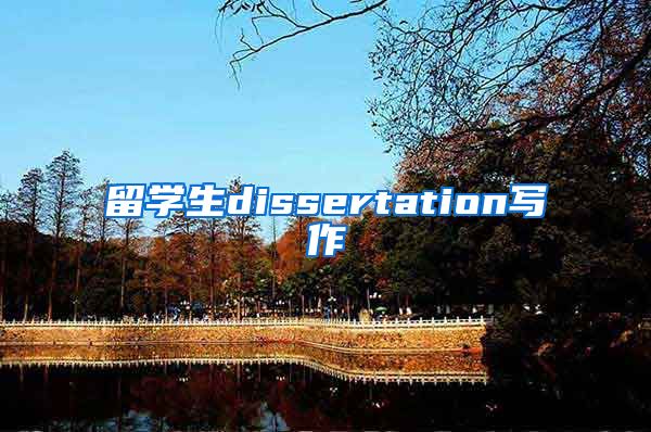 留学生dissertation写作