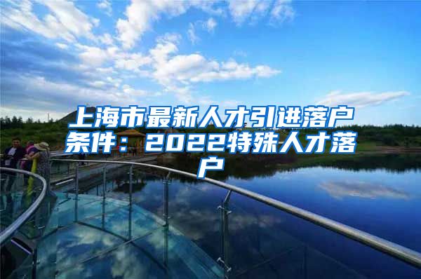 上海市最新人才引进落户条件：2022特殊人才落户