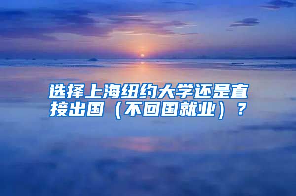 选择上海纽约大学还是直接出国（不回国就业）？