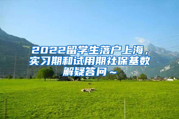 2022留学生落户上海，实习期和试用期社保基数解疑答问～