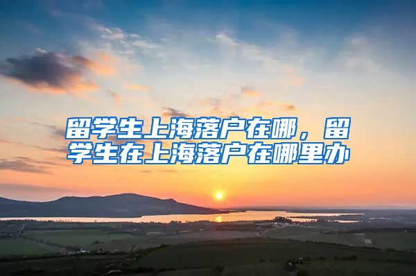 留学生上海落户在哪，留学生在上海落户在哪里办