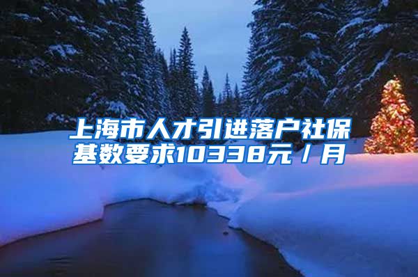 上海市人才引进落户社保基数要求10338元／月