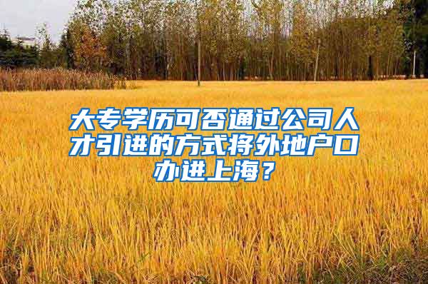 大专学历可否通过公司人才引进的方式将外地户口办进上海？