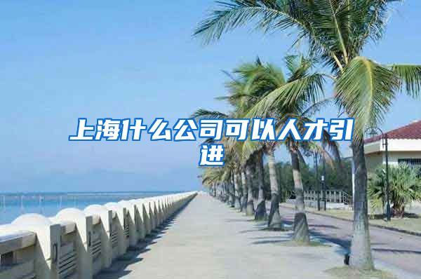 上海什么公司可以人才引进