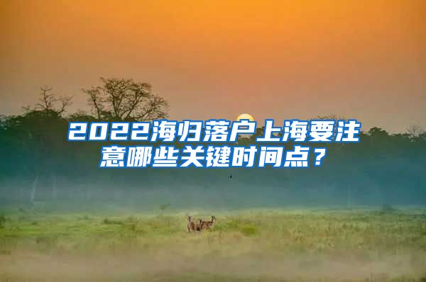 2022海归落户上海要注意哪些关键时间点？