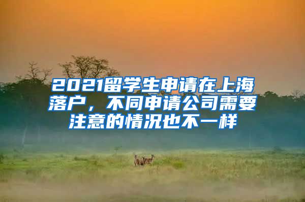 2021留学生申请在上海落户，不同申请公司需要注意的情况也不一样