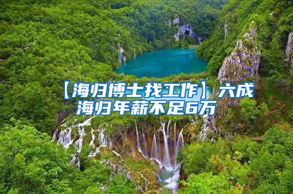 【海归博士找工作】六成海归年薪不足6万