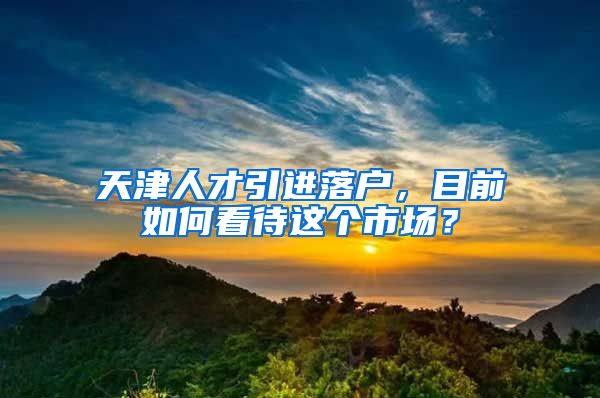 天津人才引进落户，目前如何看待这个市场？