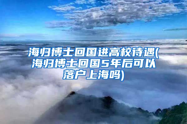 海归博士回国进高校待遇(海归博士回国5年后可以落户上海吗)