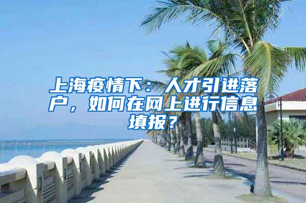 上海疫情下：人才引进落户，如何在网上进行信息填报？