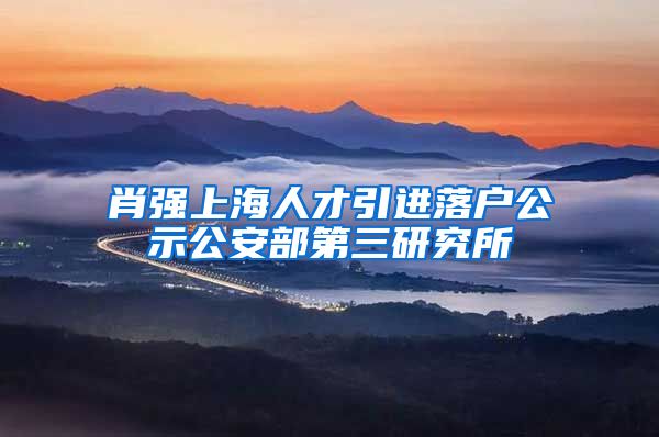 肖强上海人才引进落户公示公安部第三研究所