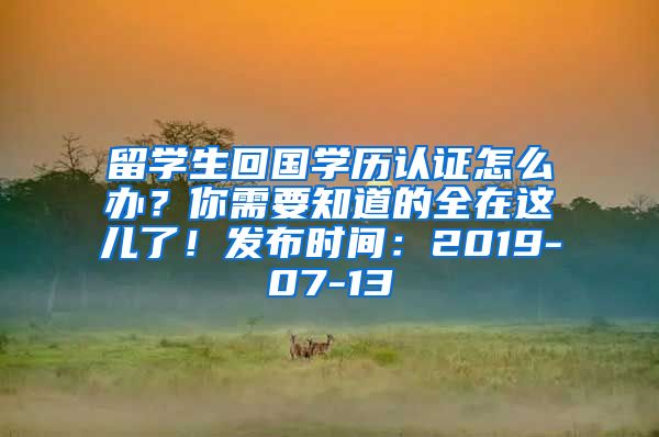 留学生回国学历认证怎么办？你需要知道的全在这儿了！发布时间：2019-07-13