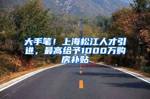 大手笔！上海松江人才引进，最高给予1000万购房补贴